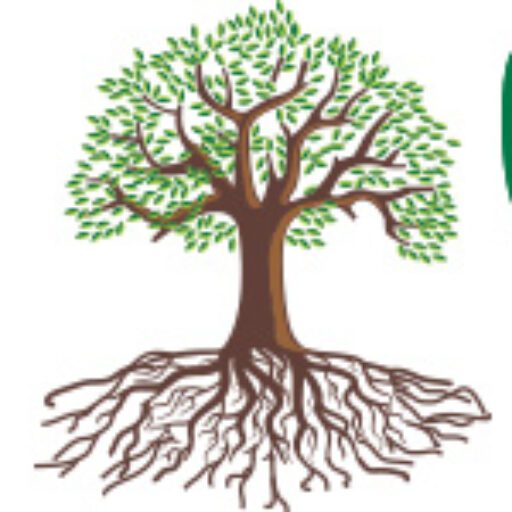 cropped-logo_1.jpg Illustration of a tree with a visible root system.